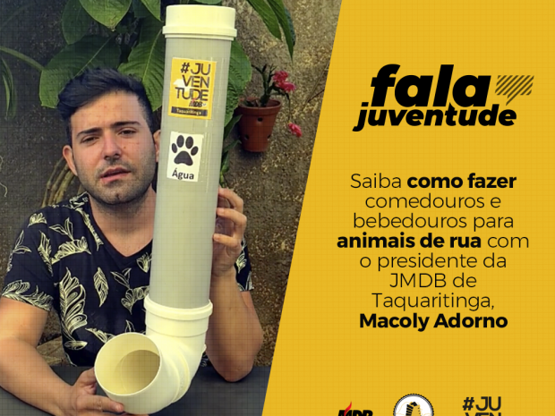 Saiba como fazer comedouros e bebedouros para animais de rua