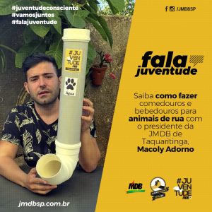Saiba como fazer comedouros e bebedouros para animais de rua