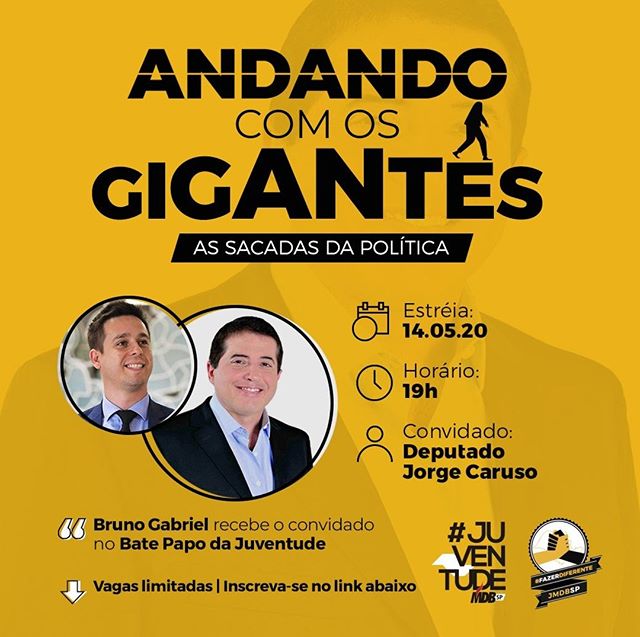 ANDANDO COM GIGANTES – AS SACADAS DA POLÍTICA